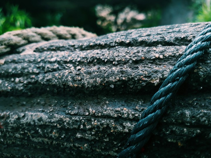 wood