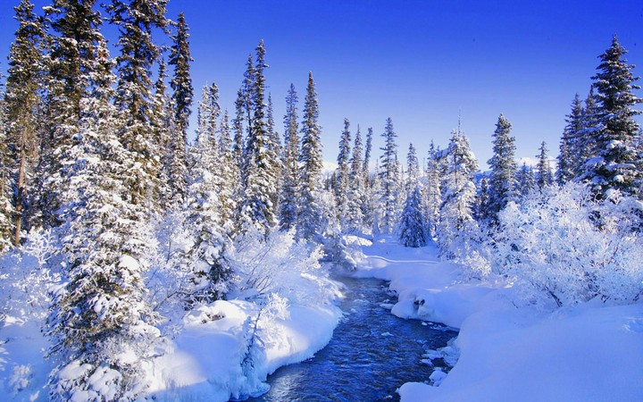 Winter