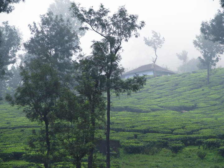 Valparai