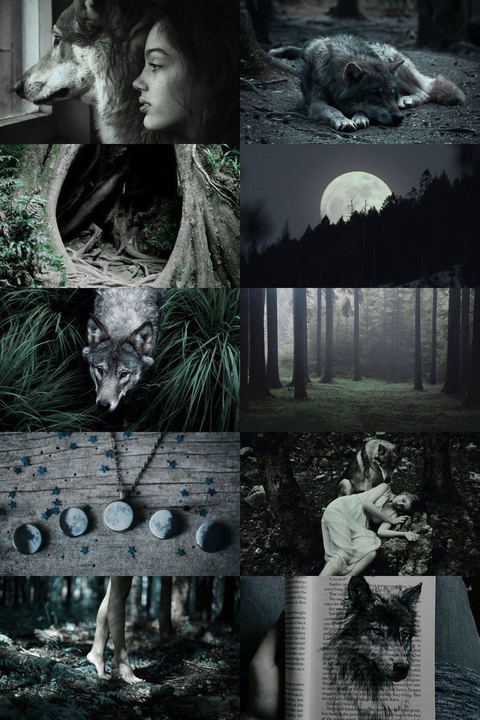 collage, photomontage桌布
