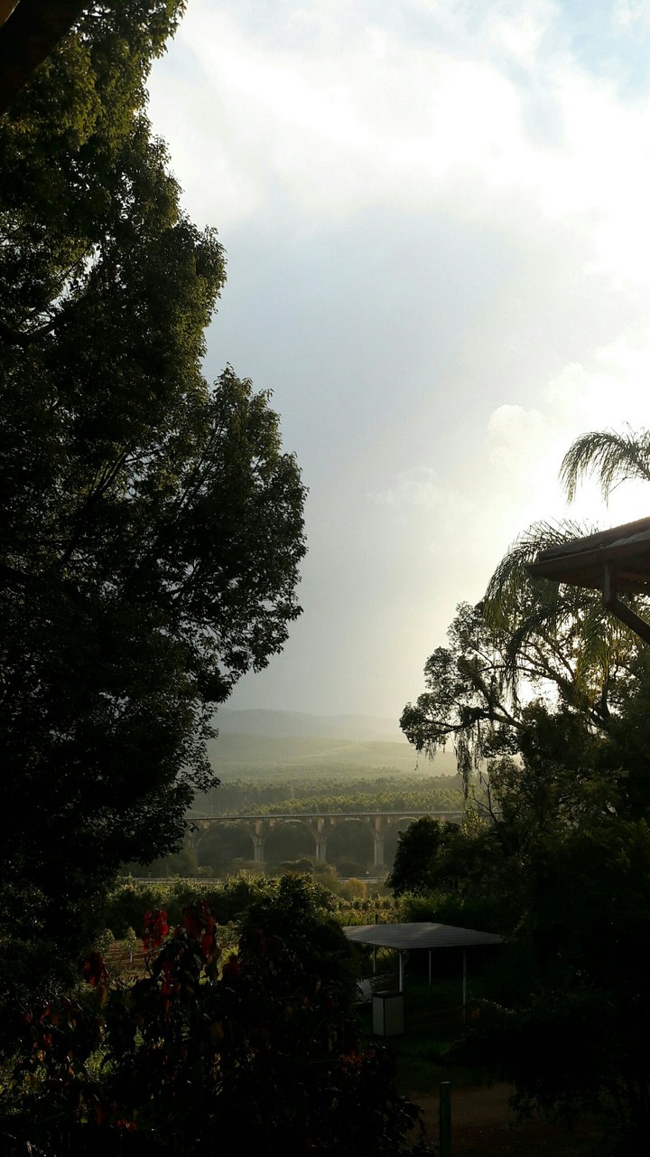 My everyday view