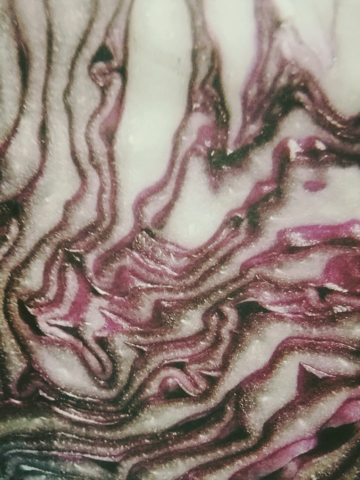 ...food,cabagge, pattern