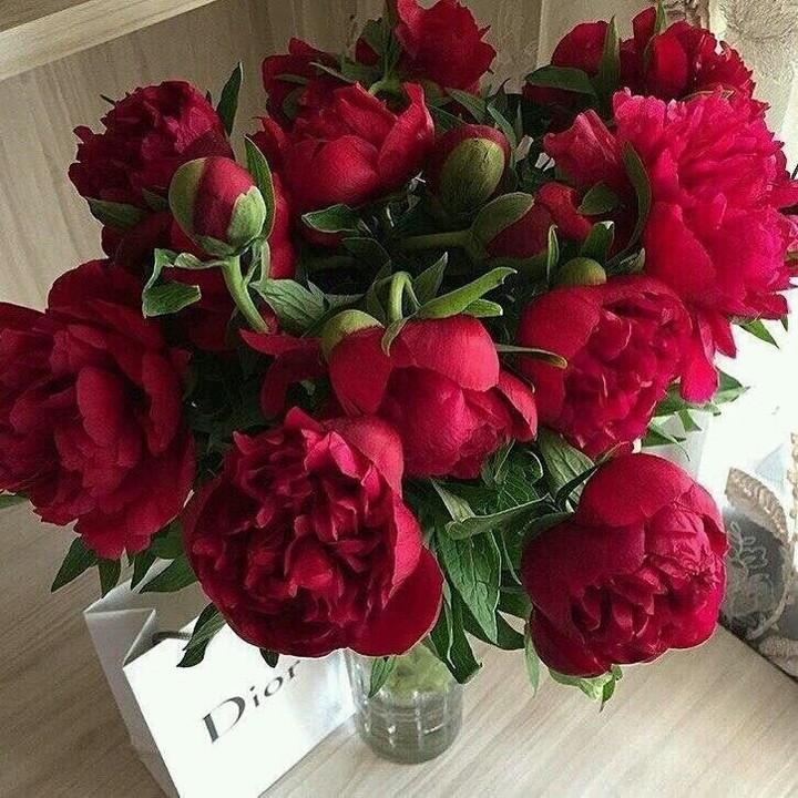 #red flower&rose