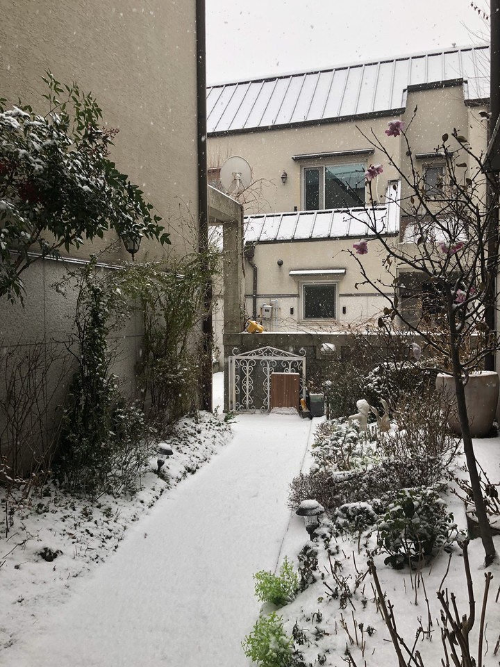 Snowing
