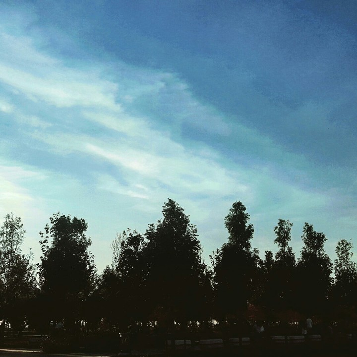 nature