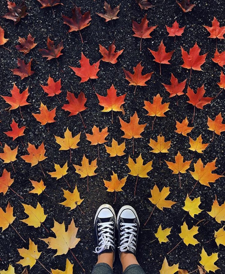 autumn