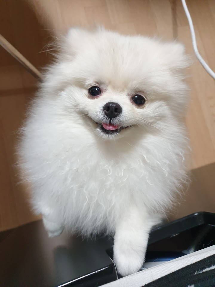 스마일~~~