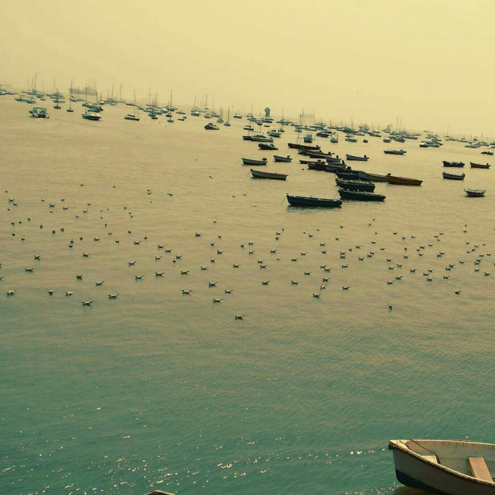 Arabian Sea