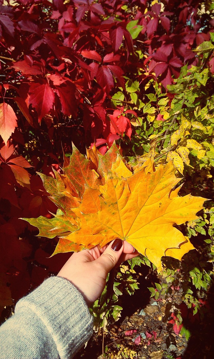 autumn'16
