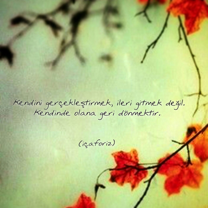 Aforizma