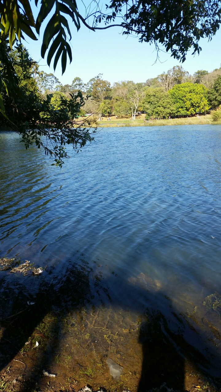 Photo of a Lake