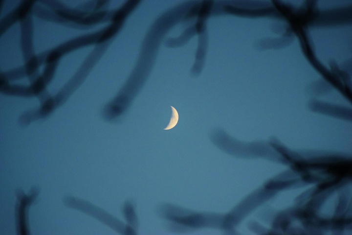 Fall Moon