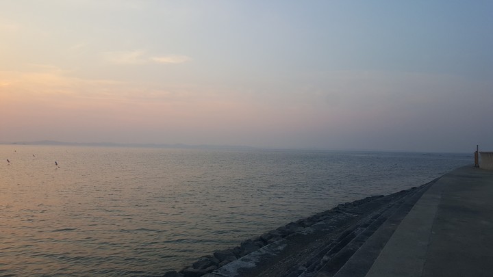 sea 바다