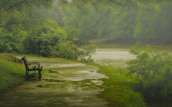 Rain! ...