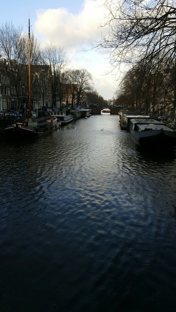 Canal in Amsterdam