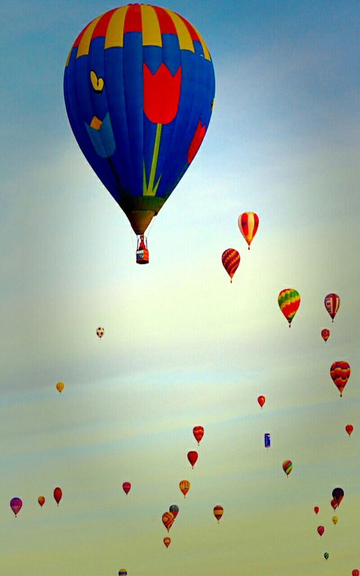 Hot air balloons in the sky