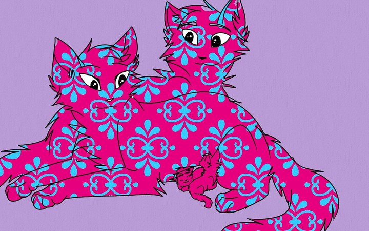 котики