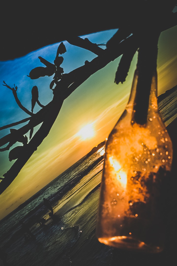 Beachside fun
