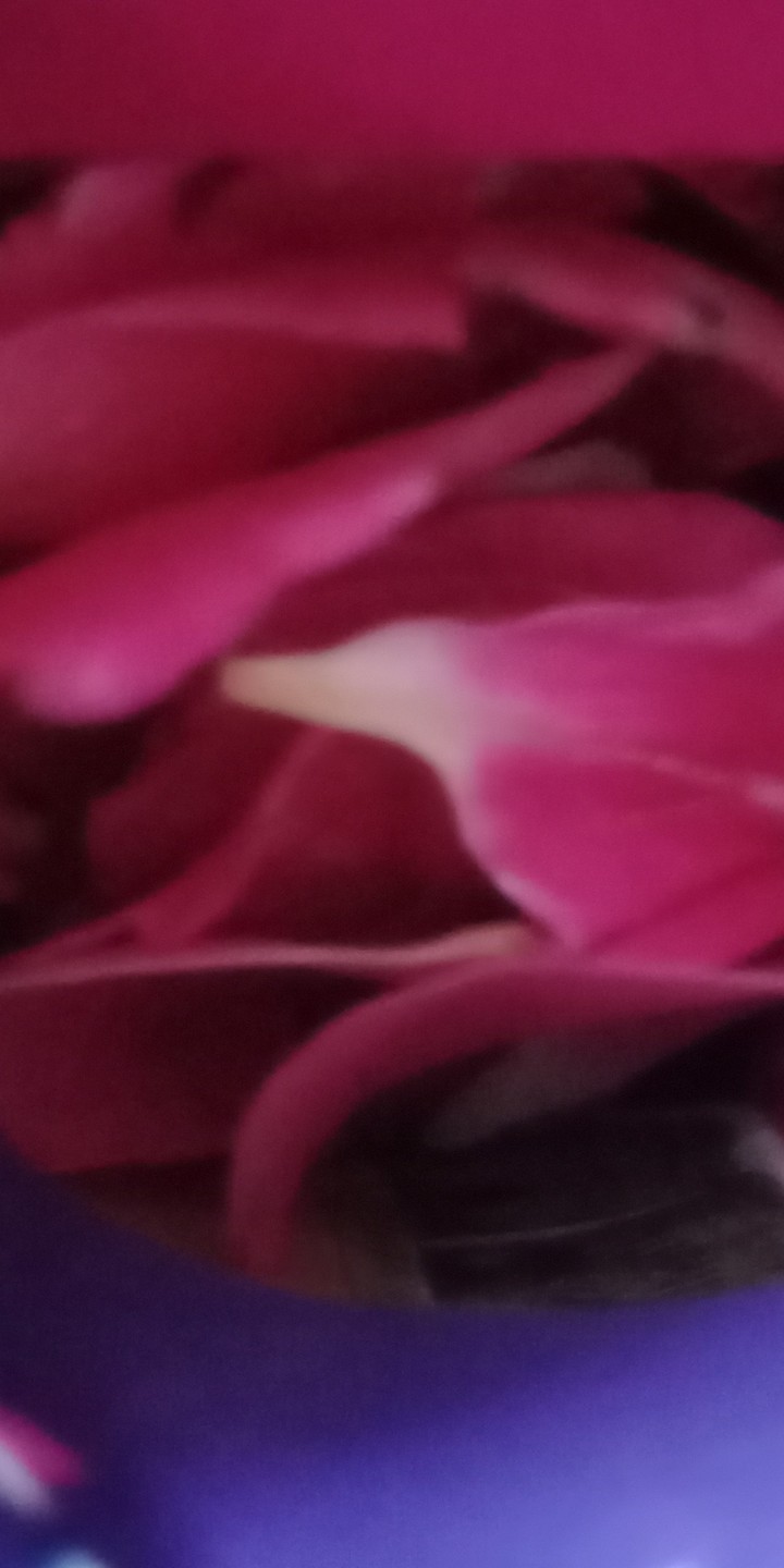 flowers in a pouch