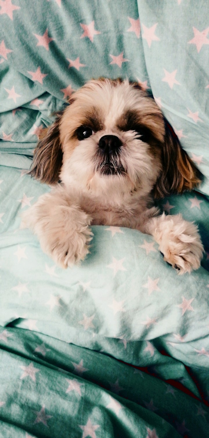 cutie