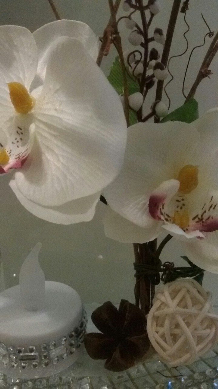blume