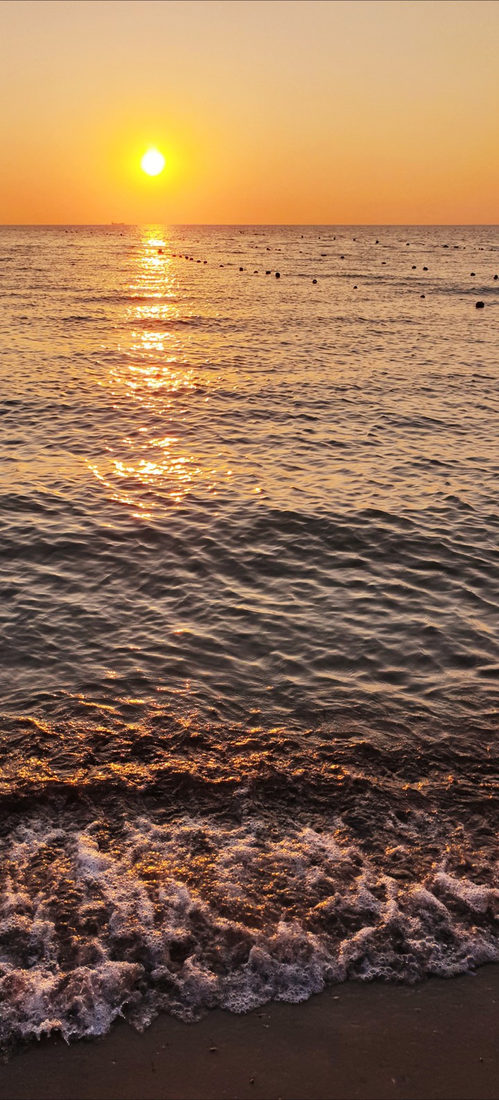 Sea