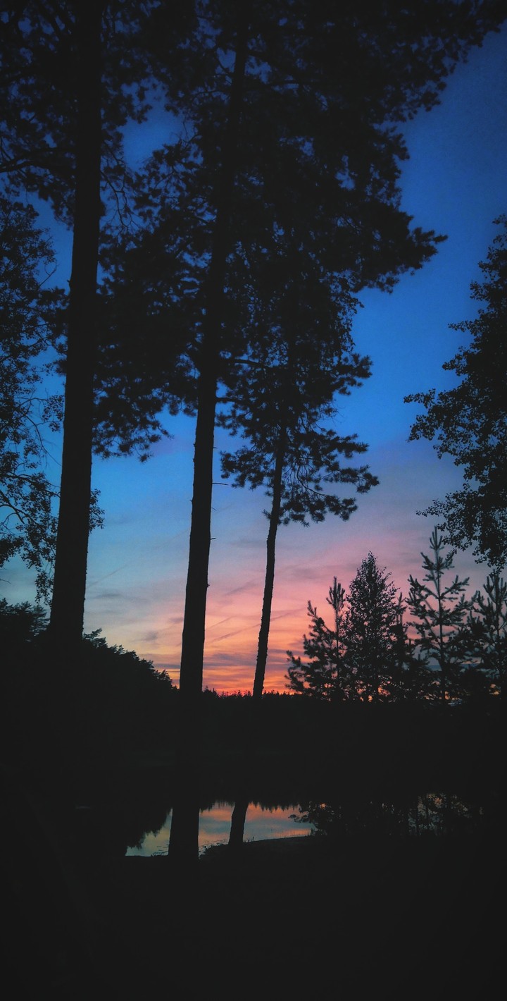 night