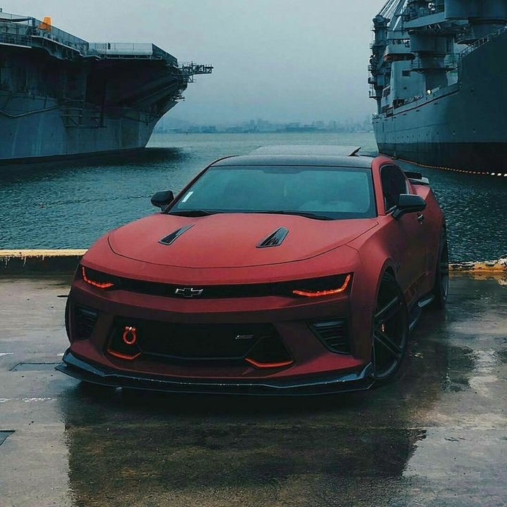 Beast