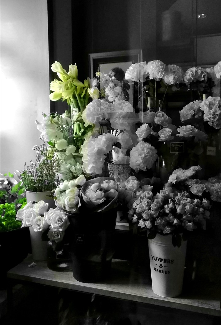 Became of Spring