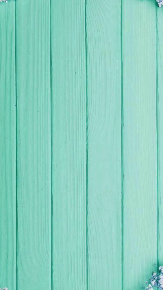 Wall