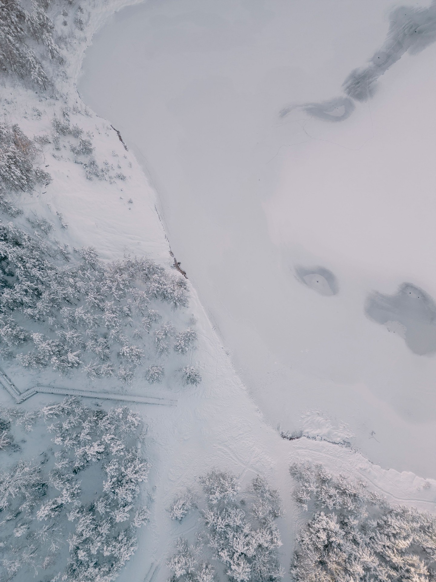 тапети arctic, freezing