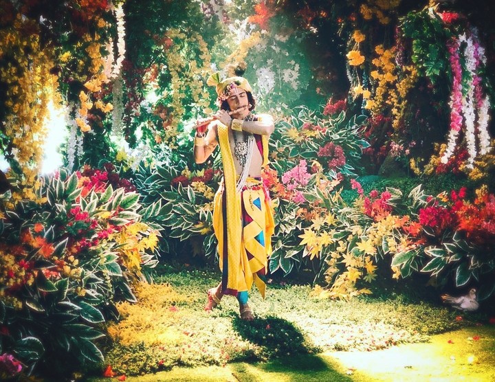 krishna