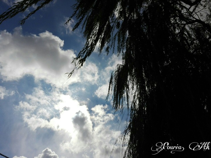 Blue sky