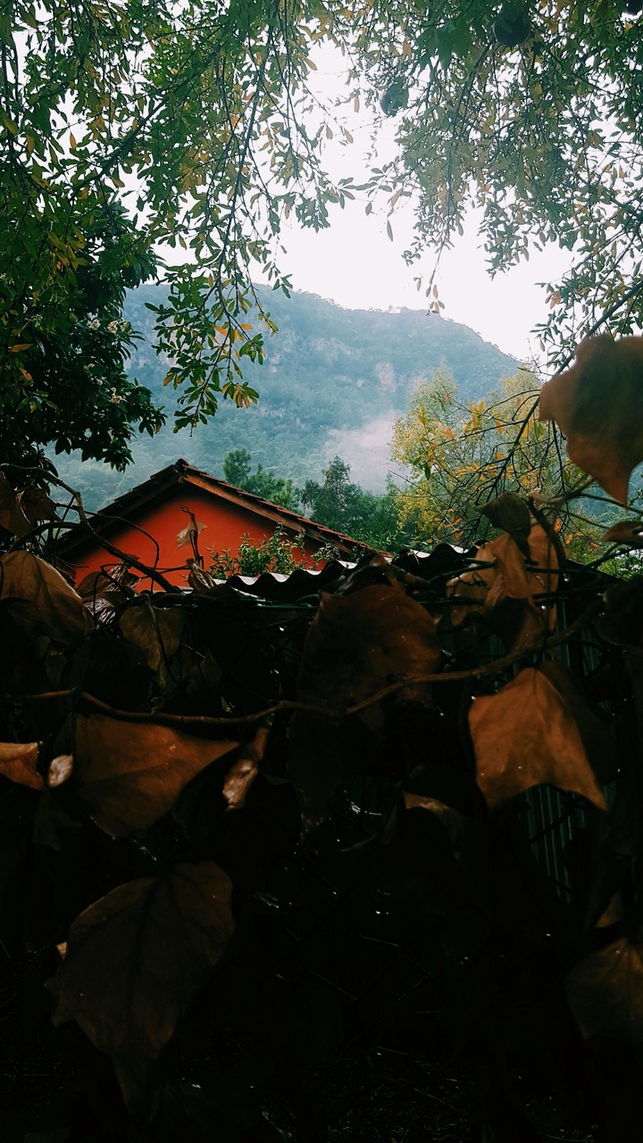 house