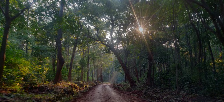 Similipal, Nature