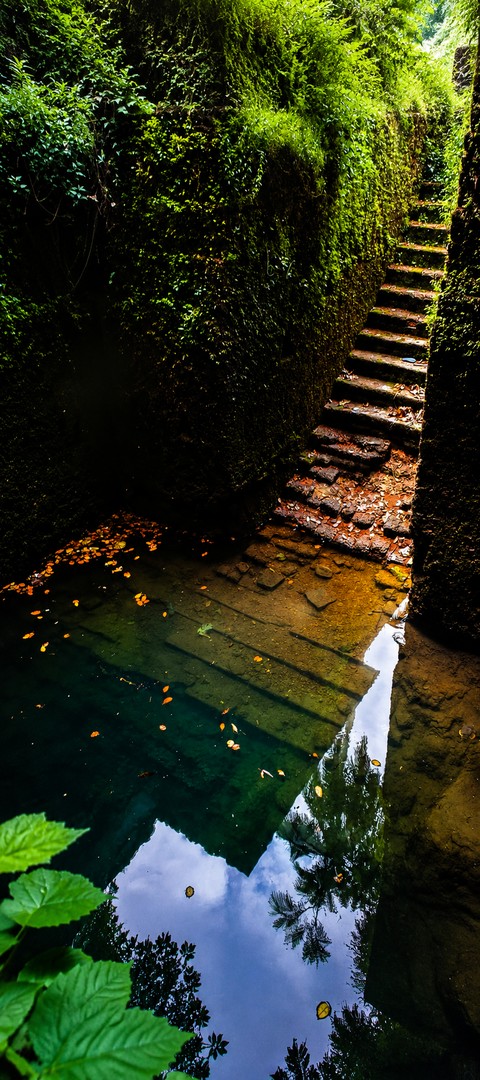 Kerala Pond Stairs