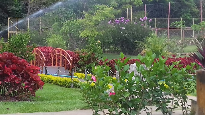 Landscapes