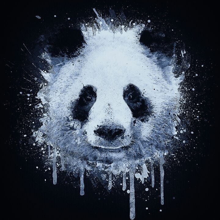 panda