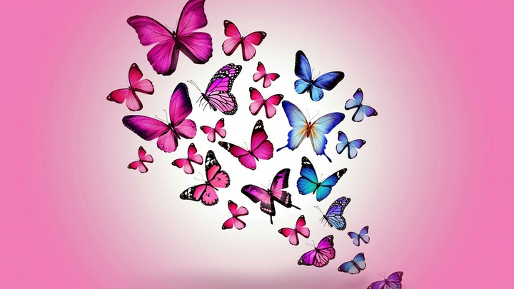 Butterflies