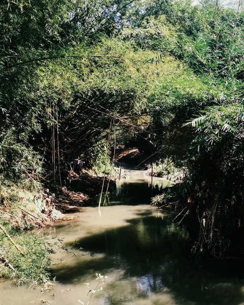 river in the village