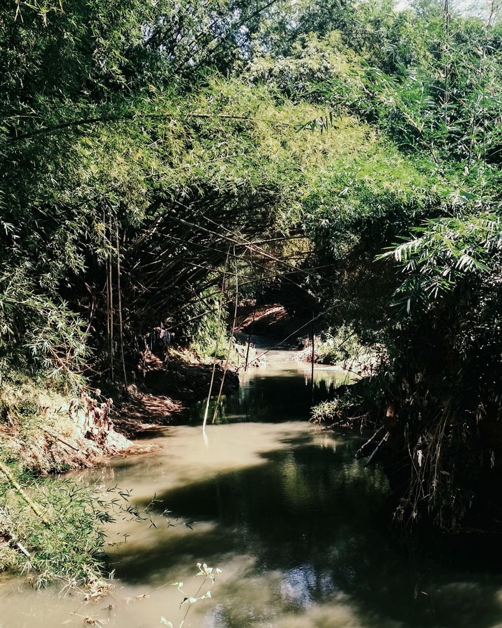 river in the village