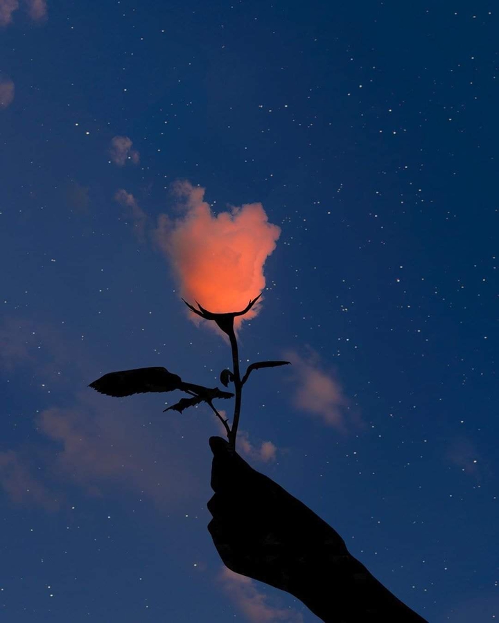 sky love