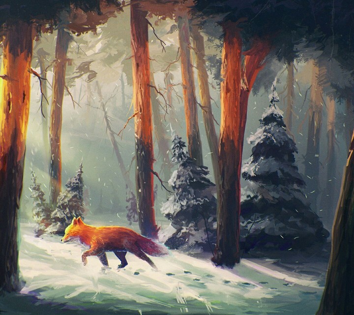 fox and forest