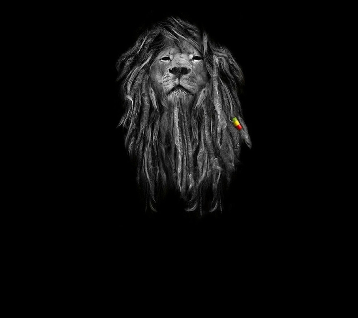 Lion Rasta