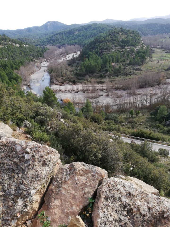 Castellón a forest in spain