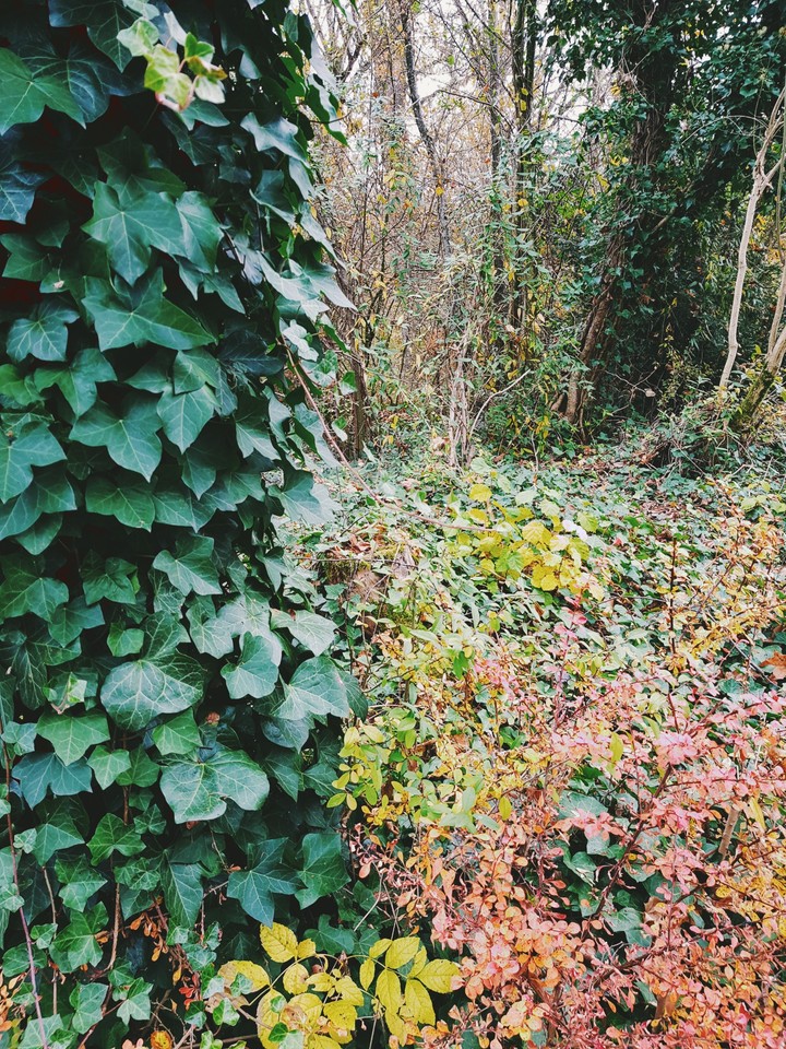 Herbst
