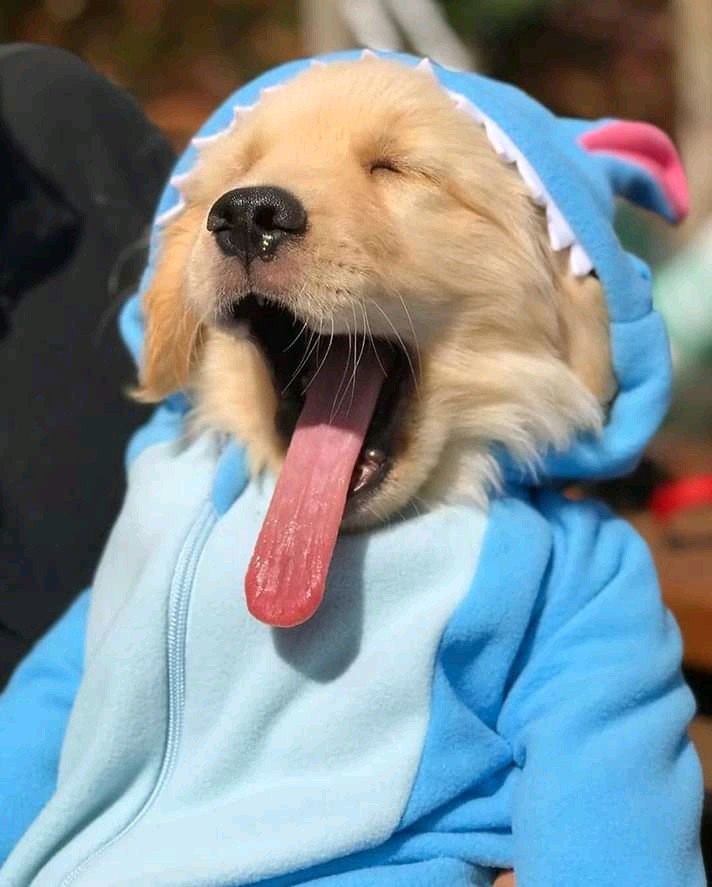 ☺️