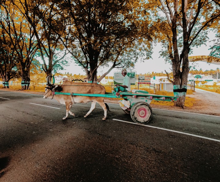 road