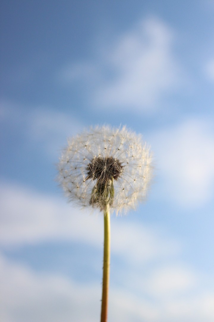 Breath of nature