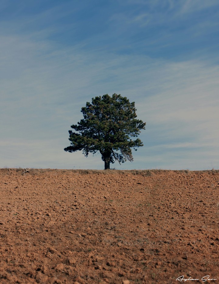 Alone